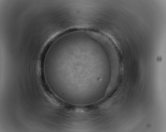 X0000098110684200804041344