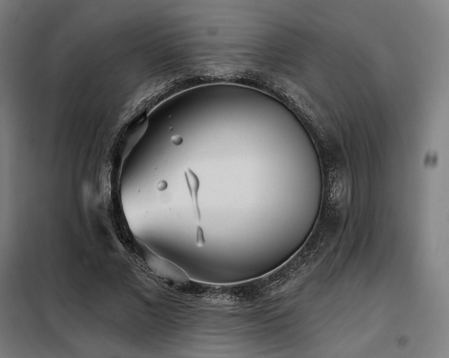 X0000098110685200804041344