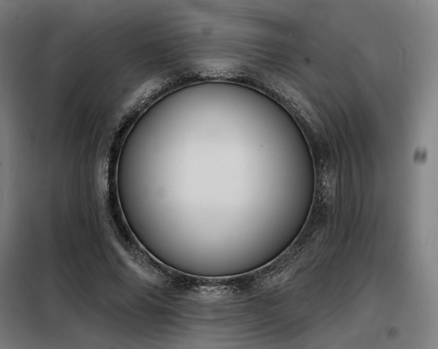 X0000098110686200804041344