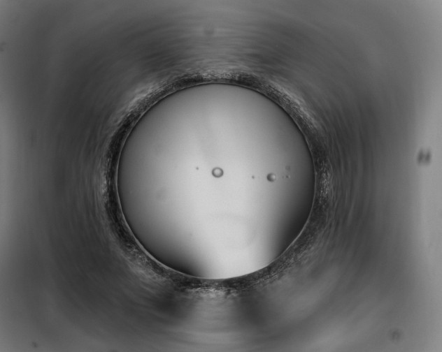 X0000098110687200804041344