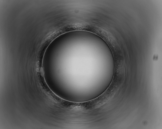 X0000098110689200804041344