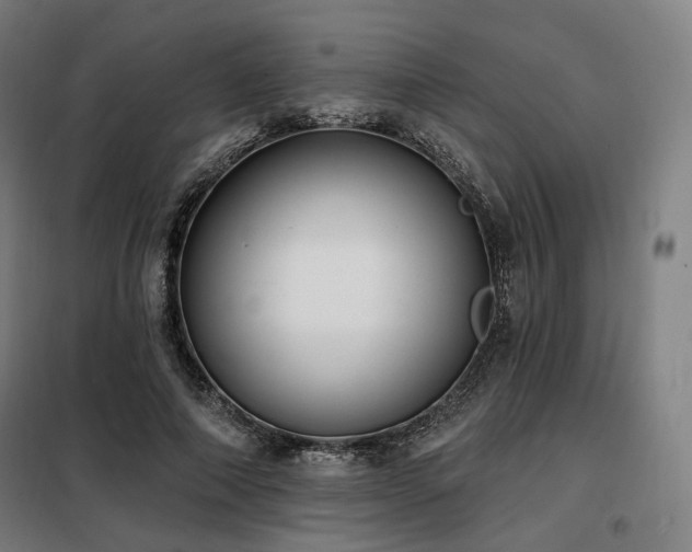 X0000098110690200804041344