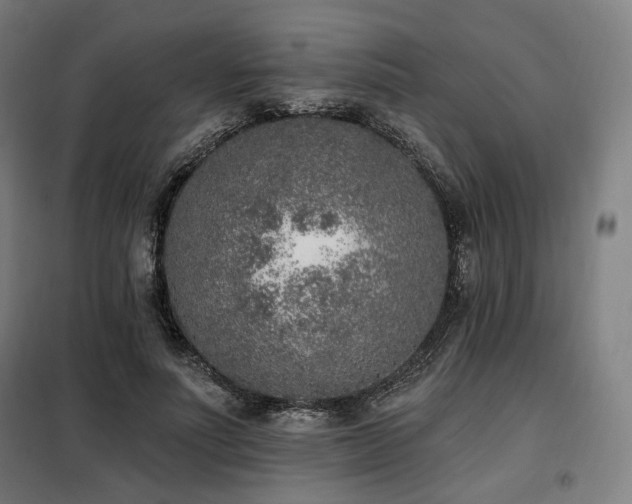 X0000098110691200804041344
