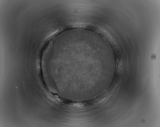 X0000098110692200804041344