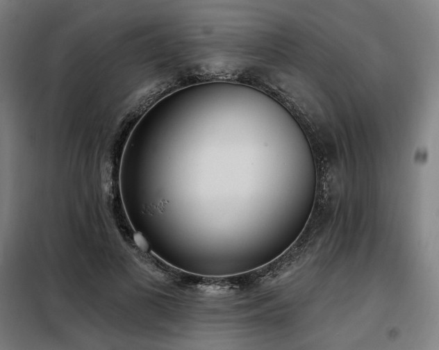 X0000098110693200804041344