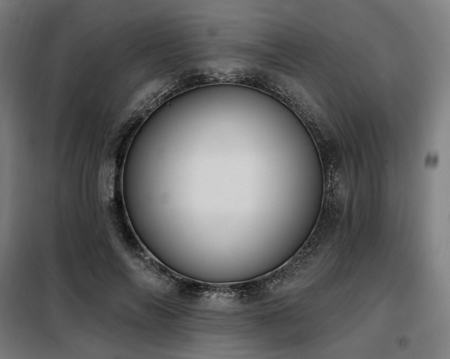 X0000098110694200804041344