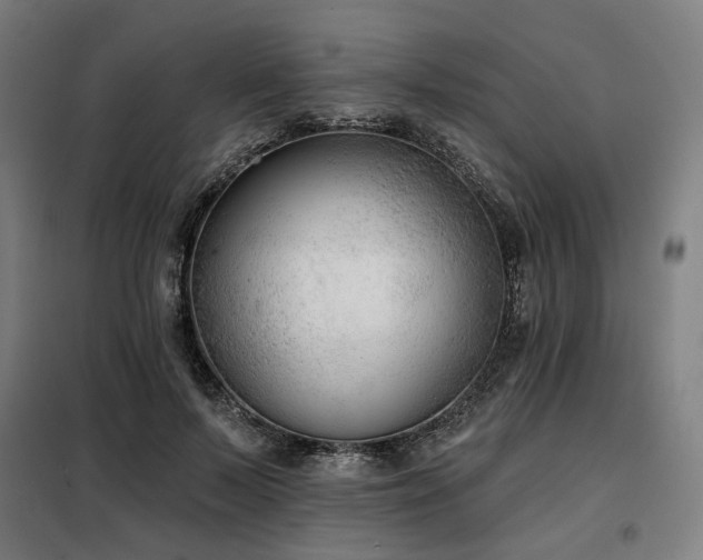 X0000098110695200804041344