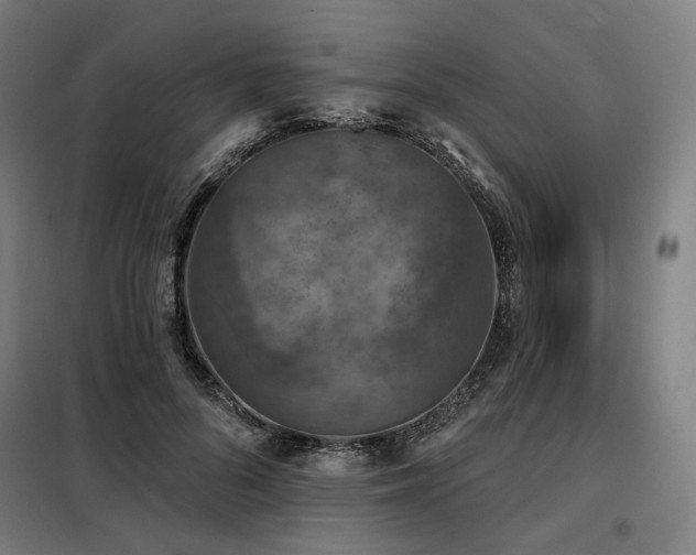 X0000098110696200804041344