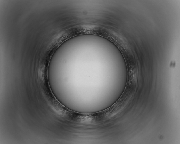 X0000098110698200804041344