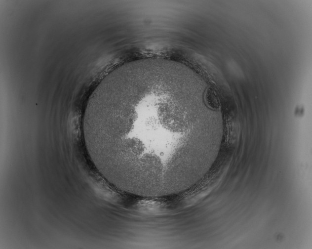 X0000098110699200804041344