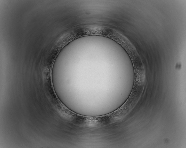 X0000098110701200804041344