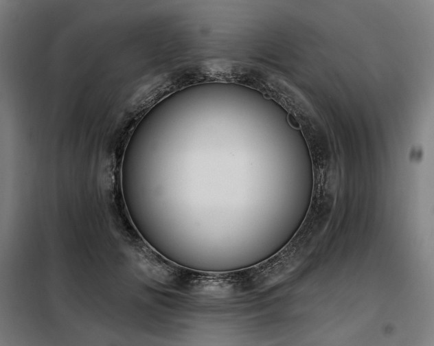 X0000098110702200804041344