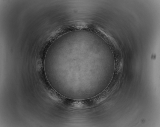 X0000098110704200804041344