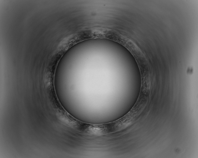 X0000098110706200804041344