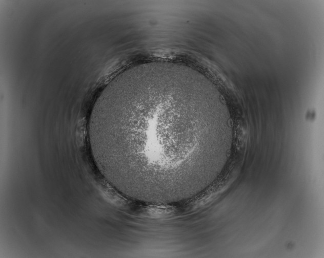 X0000098110707200804041344