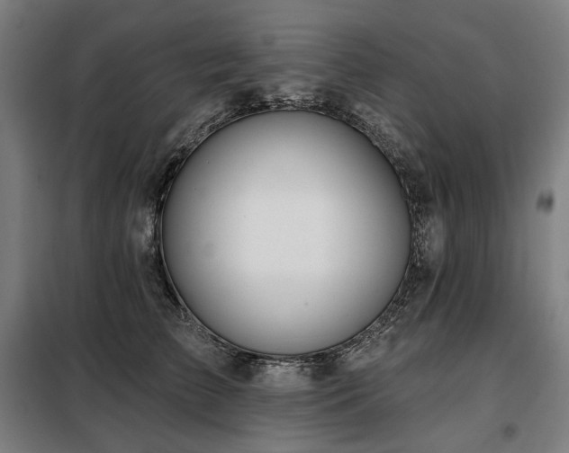 X0000098110709200804041344