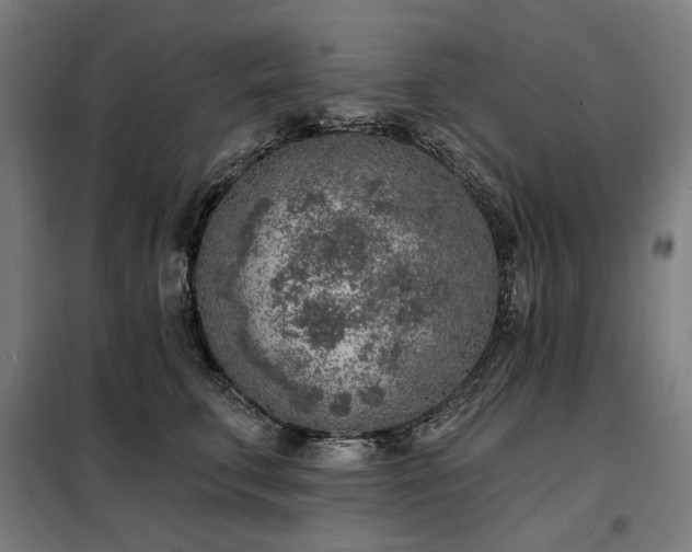 X0000098110711200804041344