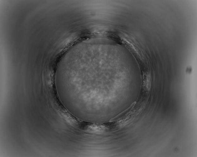 X0000098110712200804041344
