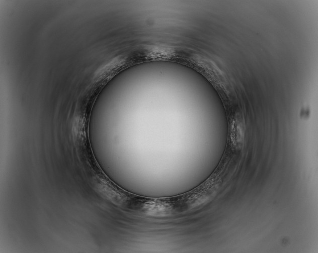 X0000098110714200804041344