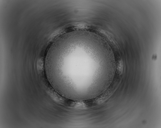 X0000098110715200804041344