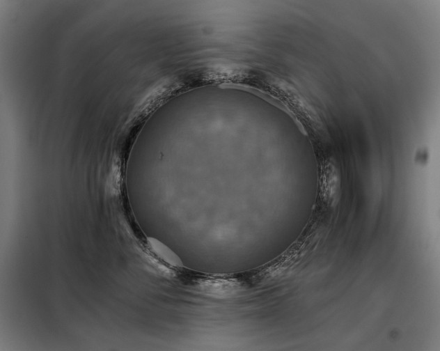 X0000098110716200804041344