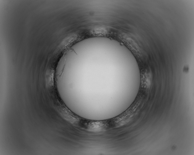 X0000098110717200804041344