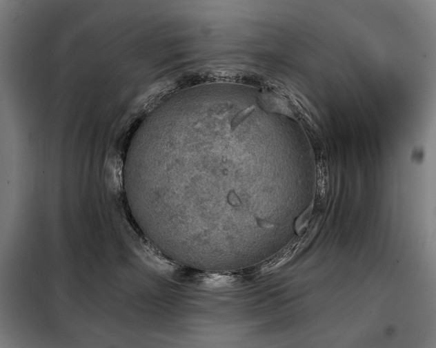 X0000098110718200804041344