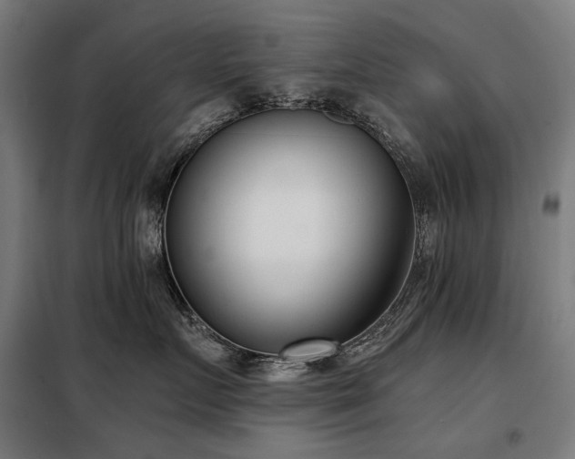 X0000098110719200804041344