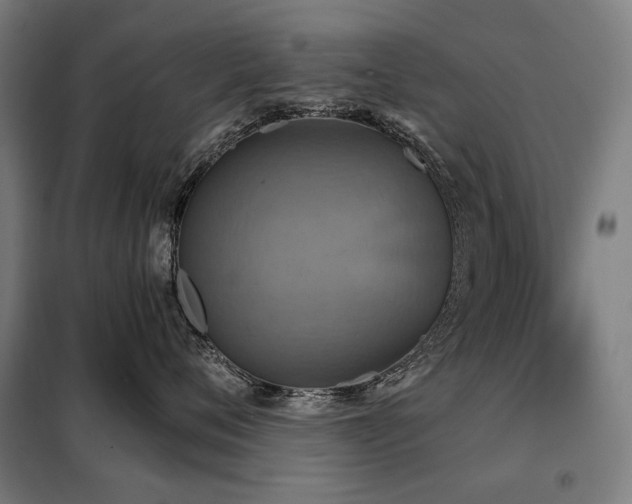 X0000098110720200804041344
