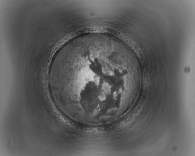 X0000098110721200804041343