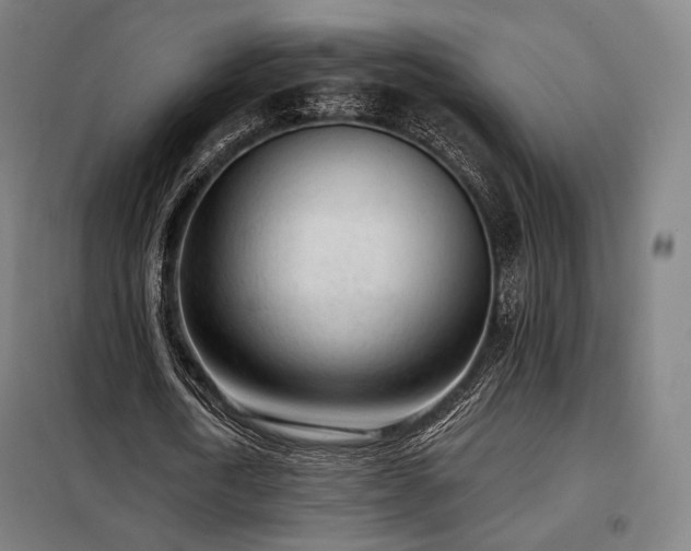 X0000098110722200804041343