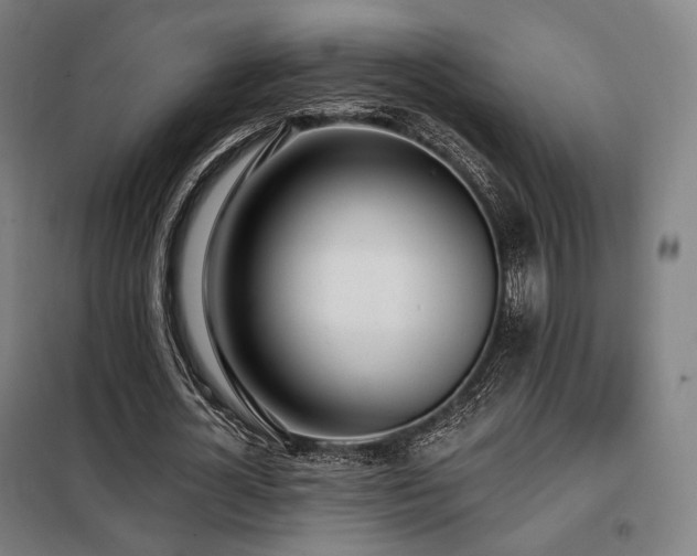 X0000098110724200804041343