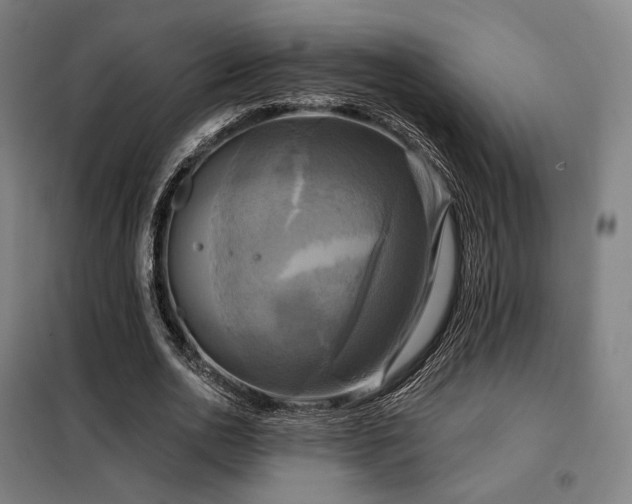 X0000098110726200804041343