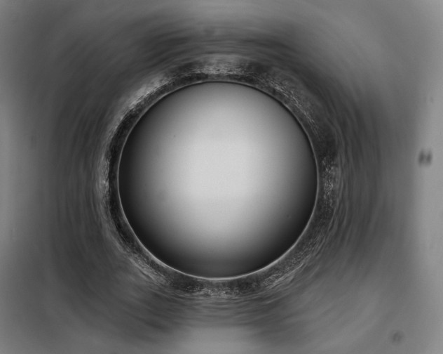 X0000098110727200804041343