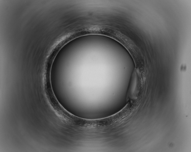 X0000098110728200804041343