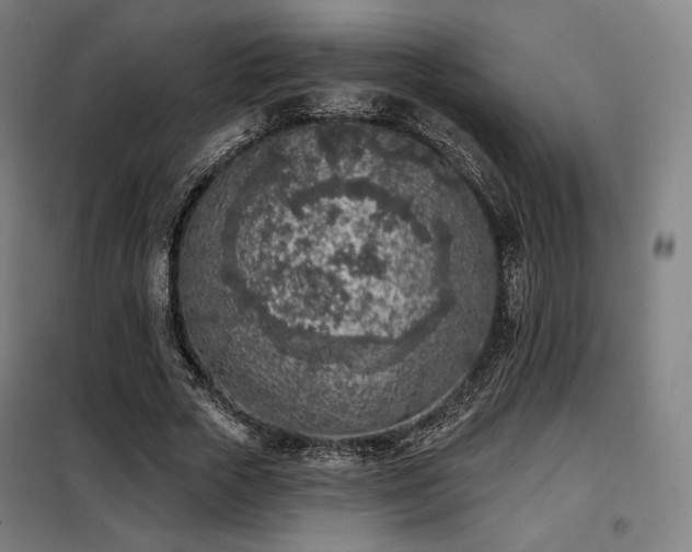 X0000098110729200804041343