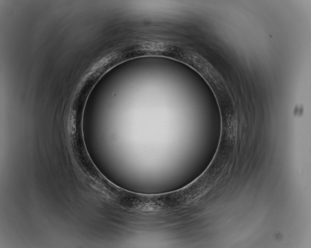 X0000098110731200804041343