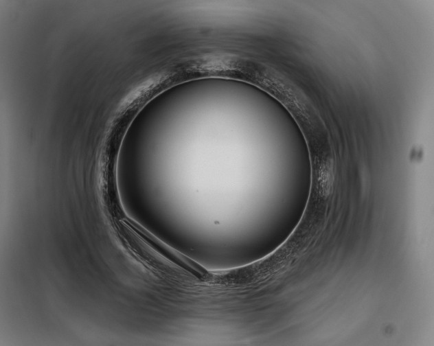 X0000098110732200804041343