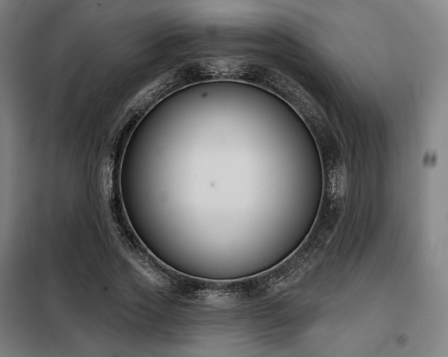 X0000098110733200804041343