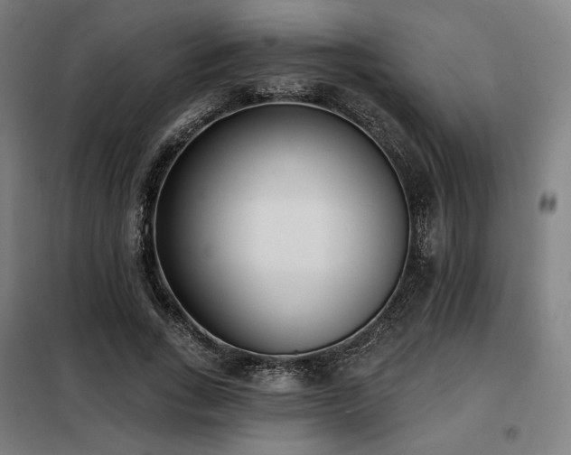 X0000098110735200804041343