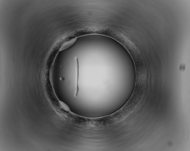 X0000098110736200804041343