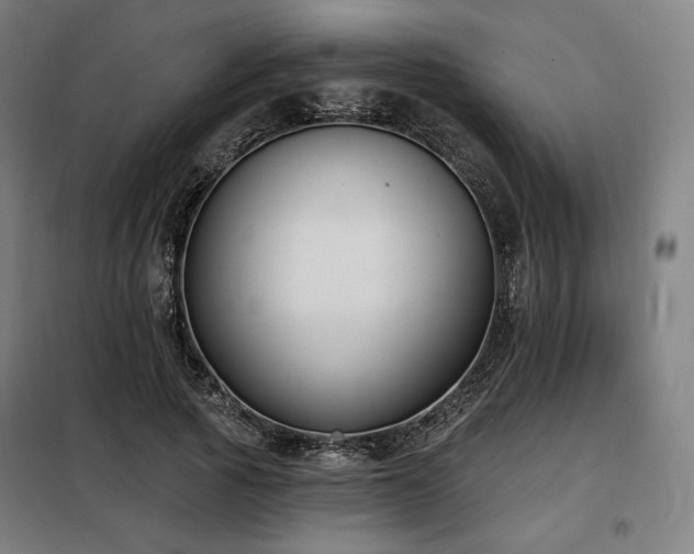 X0000098110737200804041343