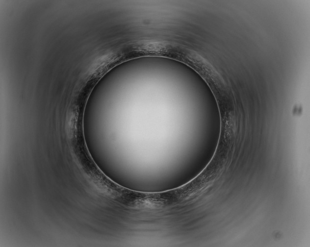X0000098110739200804041343