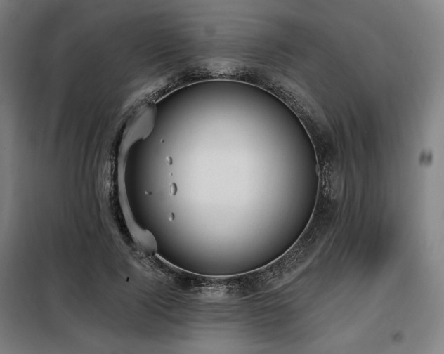 X0000098110740200804041343
