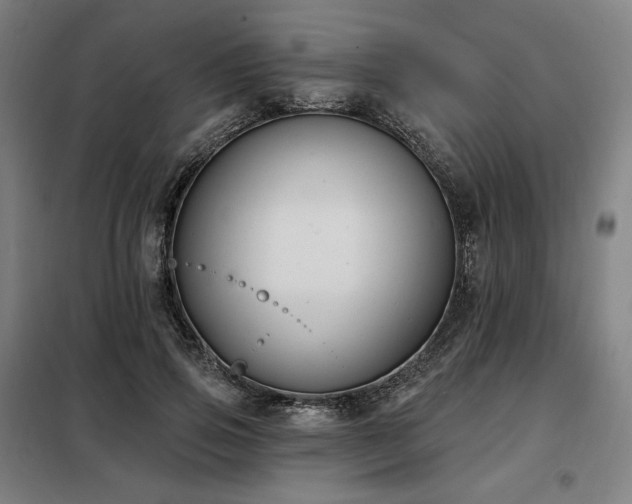 X0000098110741200804041343