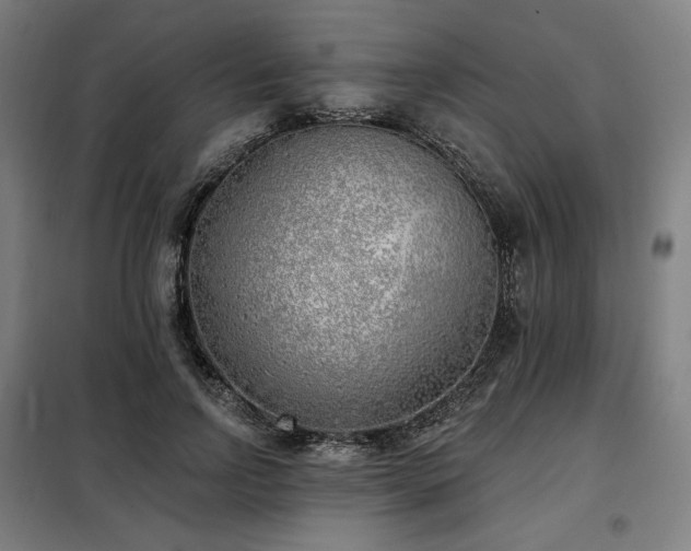 X0000098110742200804041343
