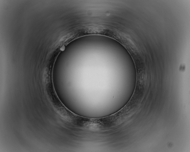 X0000098110743200804041343