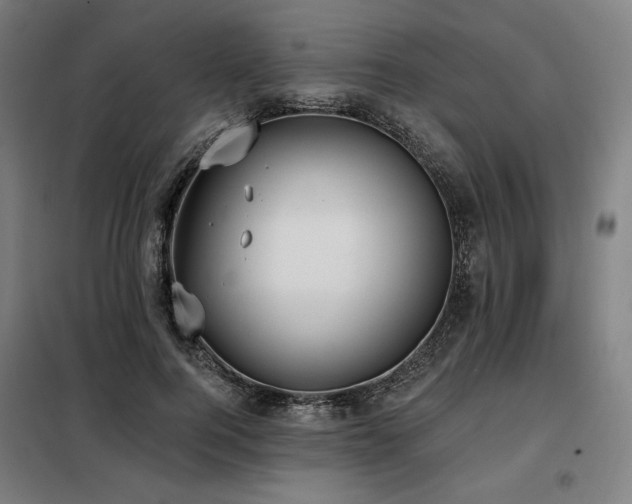 X0000098110744200804041343