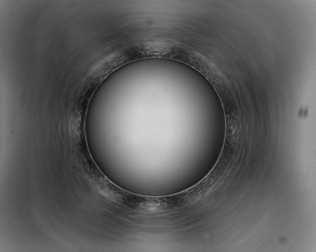 X0000098110745200804041343