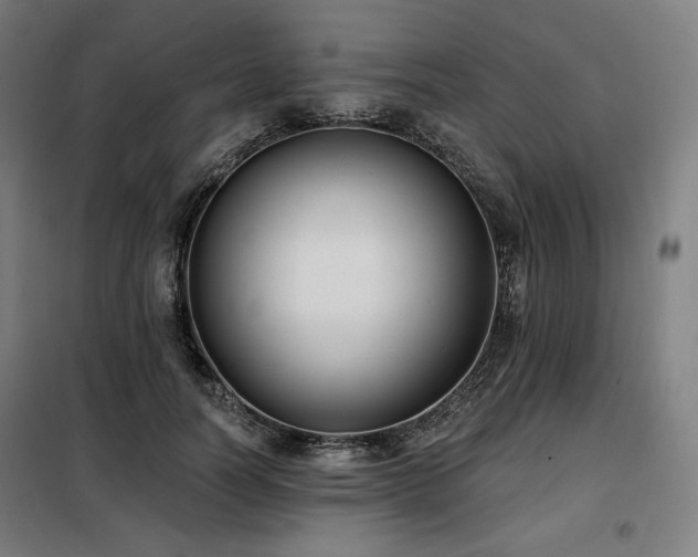 X0000098110746200804041343